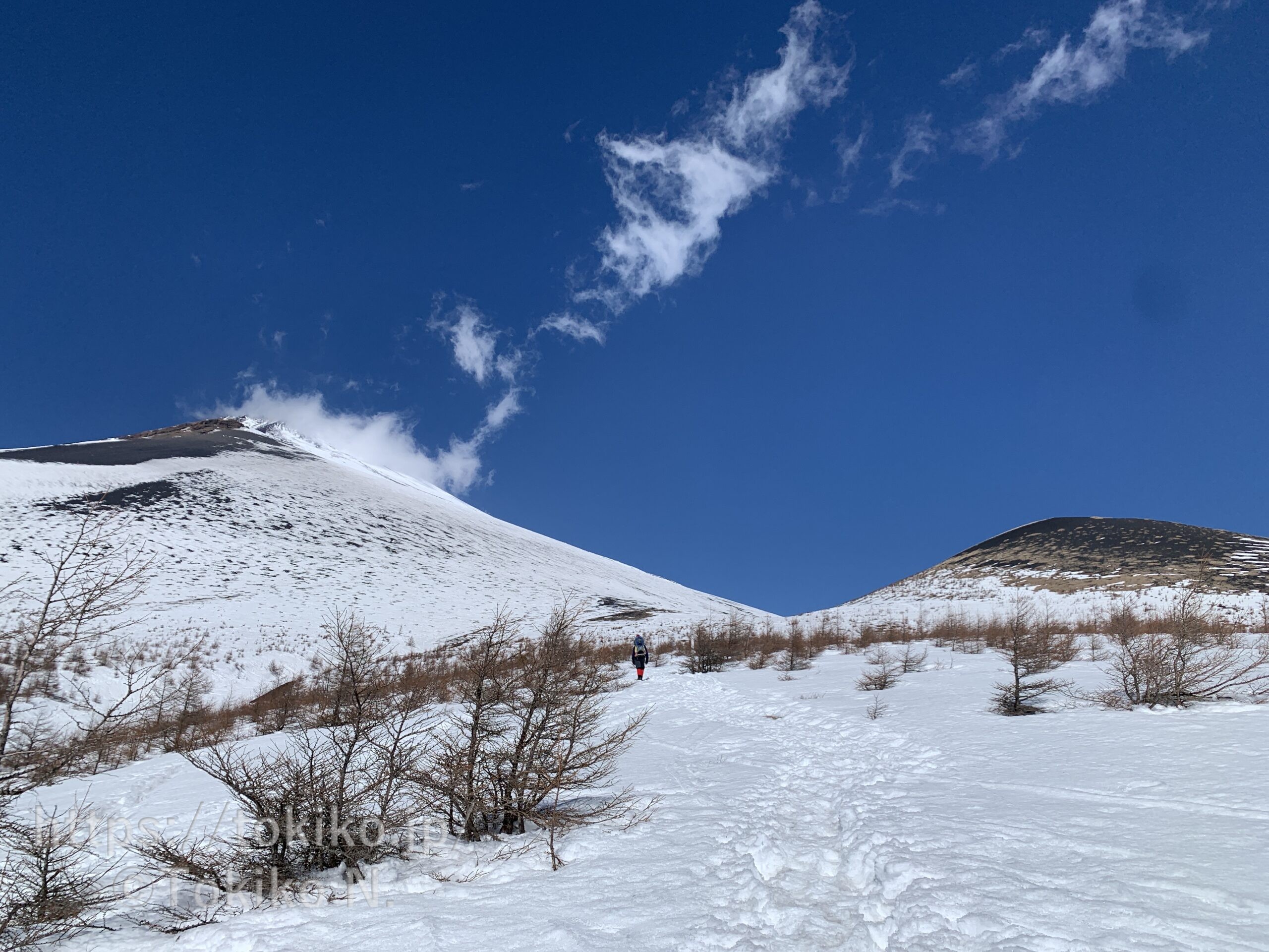 双子山(二ツ塚) 富士山須山御胎内入口からピストン 子連れ雪山その③ 1歳3ヶ月