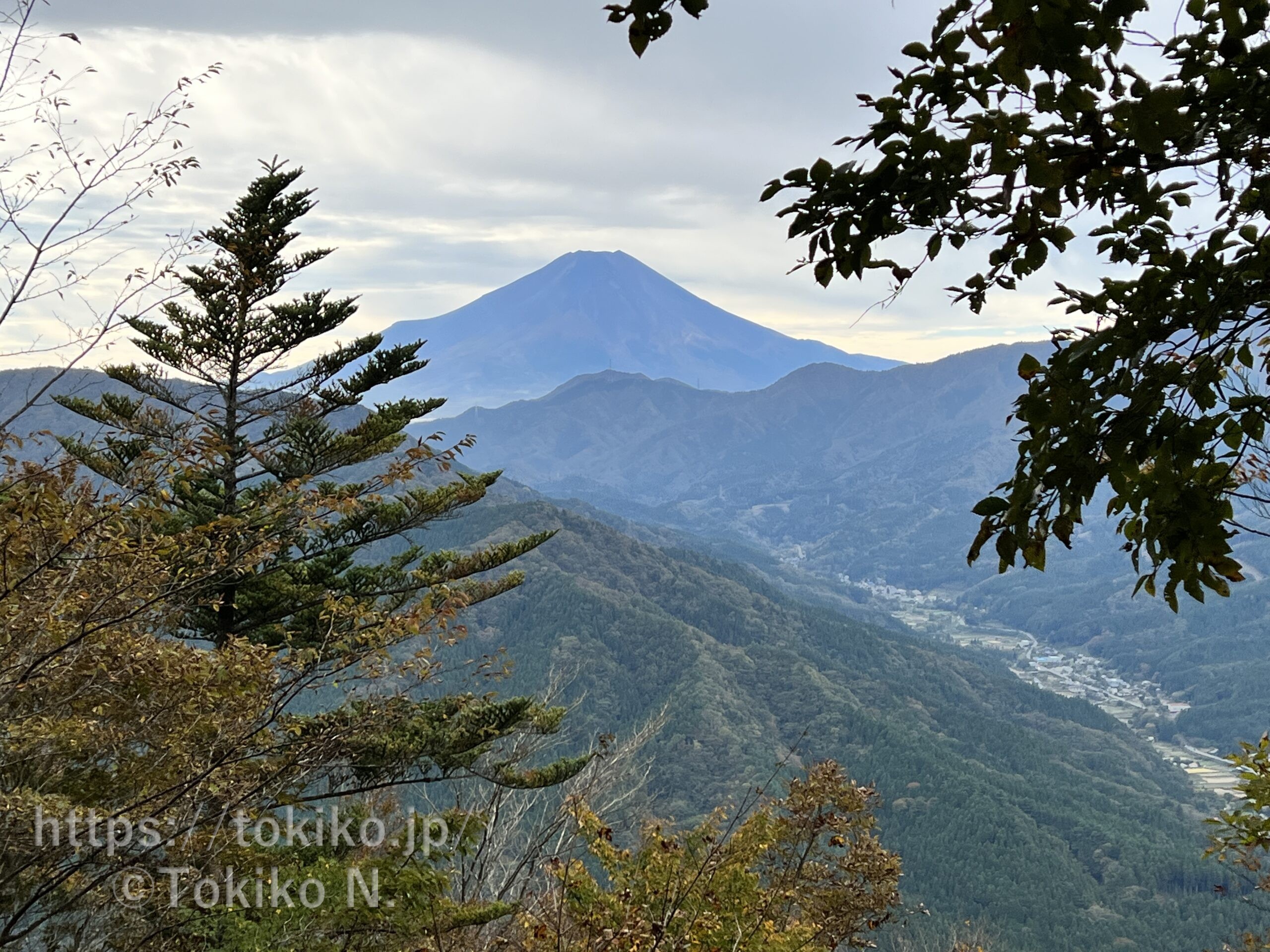 鳥ノ胸山山頂から富士山