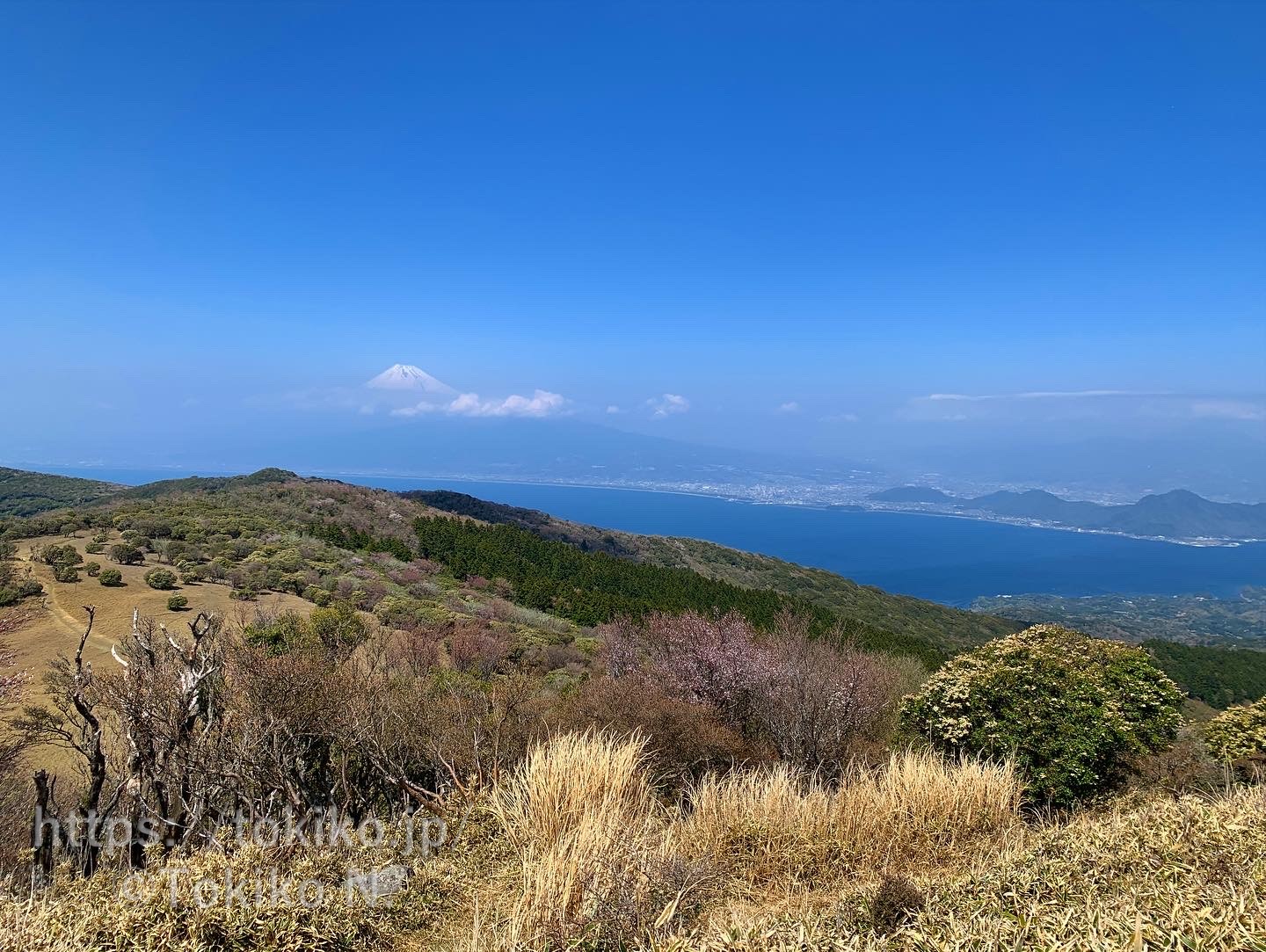 金冠山山頂から富士山・沼津アルプス・駿河湾