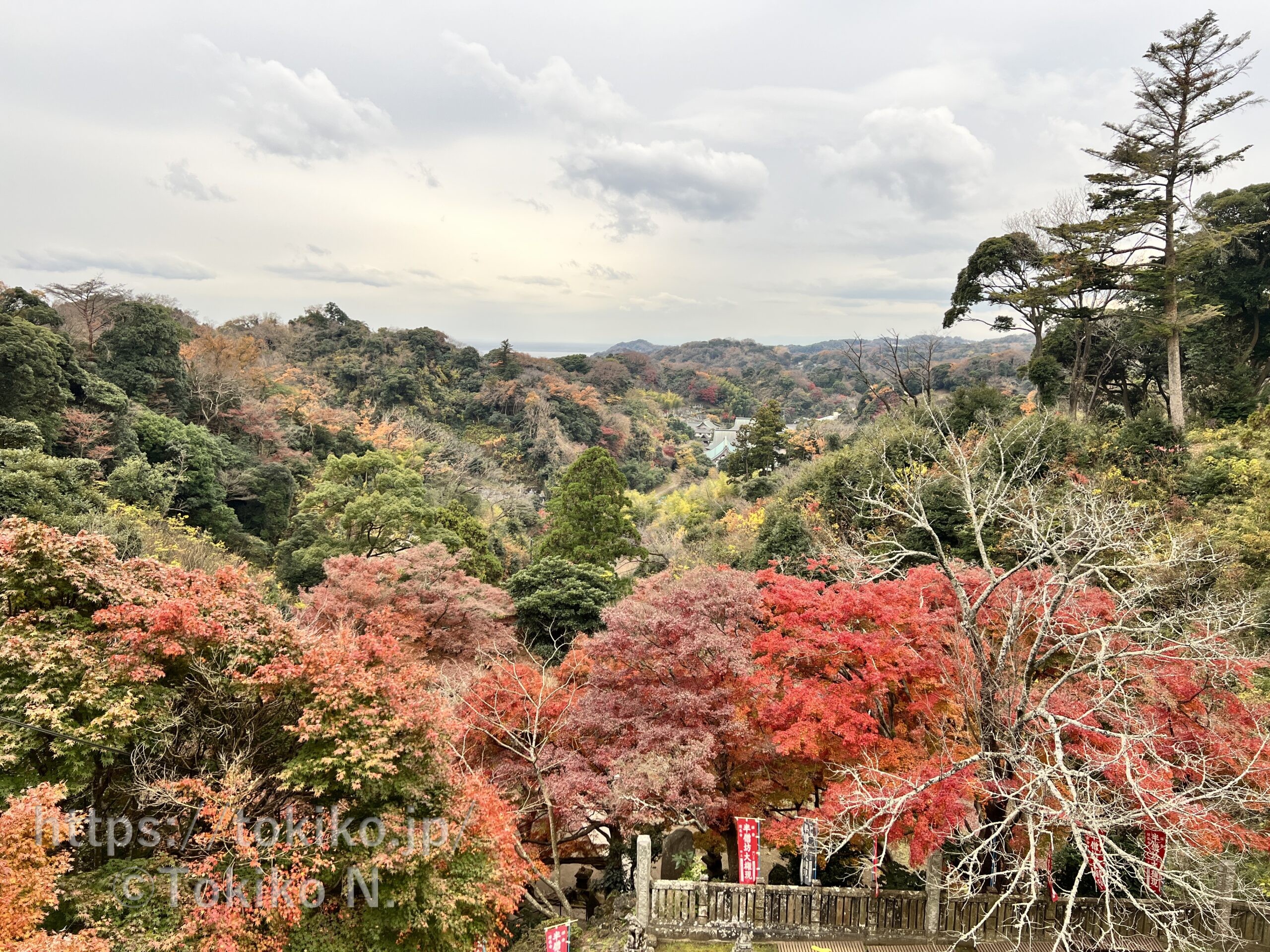 鎌倉アルプス 天園ハイキングコース 建長寺の紅葉 ベビーキャリア登山